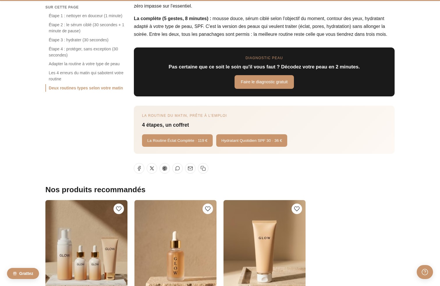 Aperçu Étiquettes & partage social sur la démo Speedfly