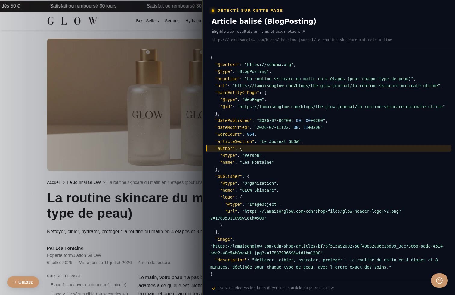 Aperçu Article & blog (BlogPosting) sur la démo Speedfly