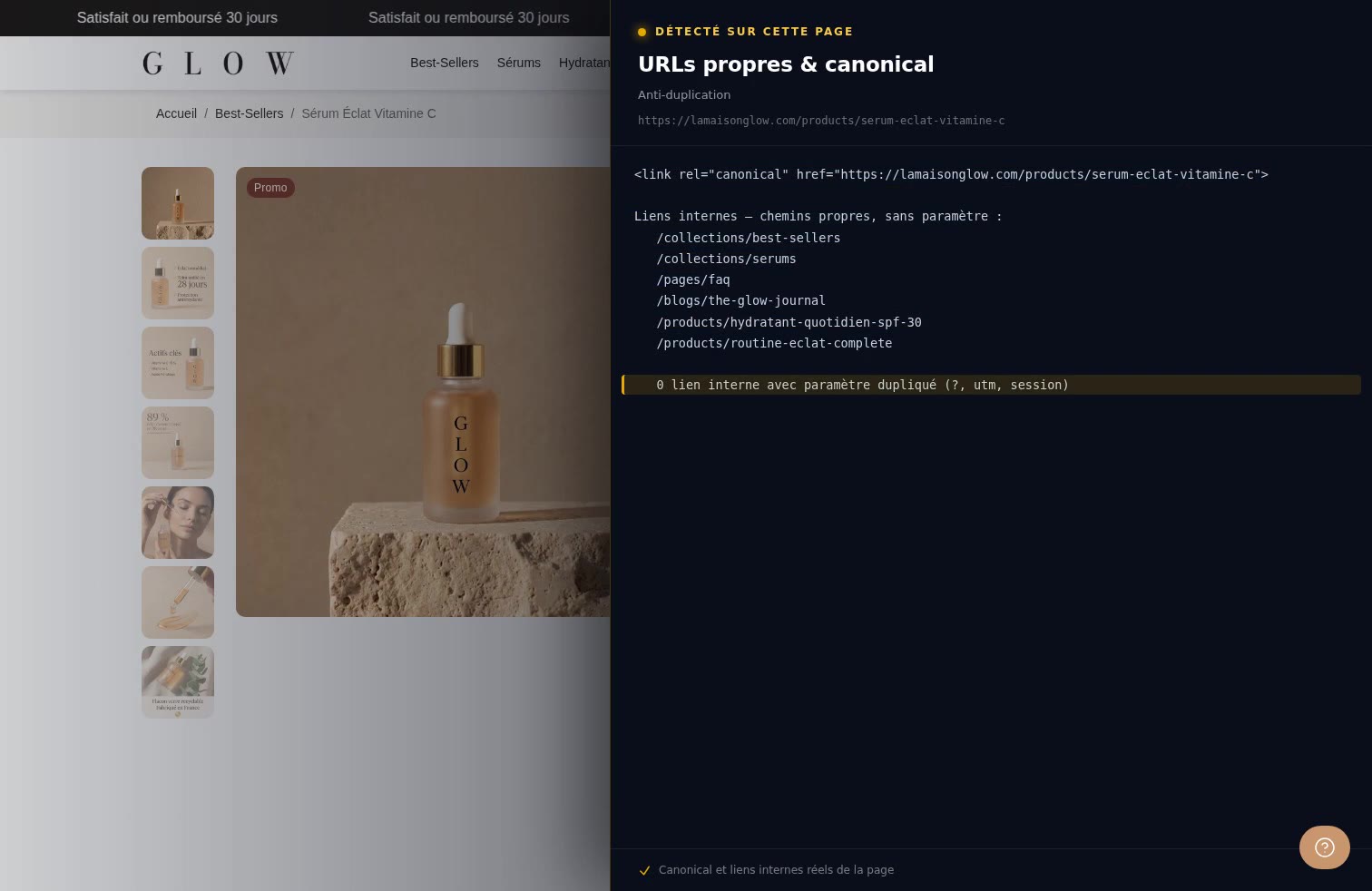 Aperçu Optimisation des URL & liens sur la démo Speedfly